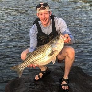 Meet your Posher, Bailey